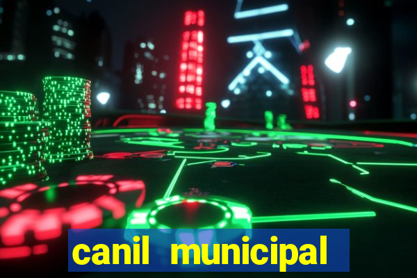 canil municipal porto alegre